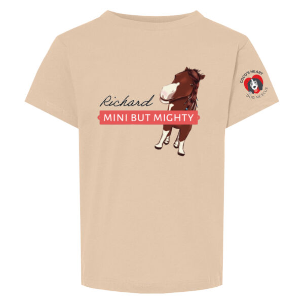 Bella & Canvas Toddler Triblend Tee - Printed Logos Thumbnail