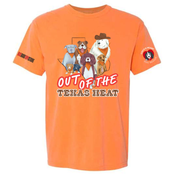 Unisex Garment-Dyed Heavyweight T-Shirt - Printed Logos Thumbnail
